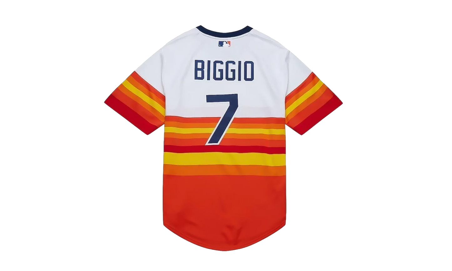 MLB Craig Biggio Alternate Jersey "2004 Houston Astros - White" AJY17186 HAS04CBGWHIT