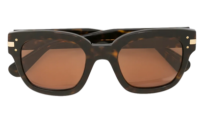 Classic Logo Sunglasses "Brown / Brown / Gold" XA41763AC BBG