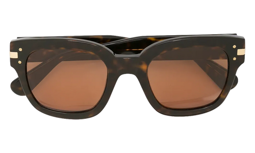 Classic Logo Sunglasses "Brown / Brown / Gold" XA41763AC BBG