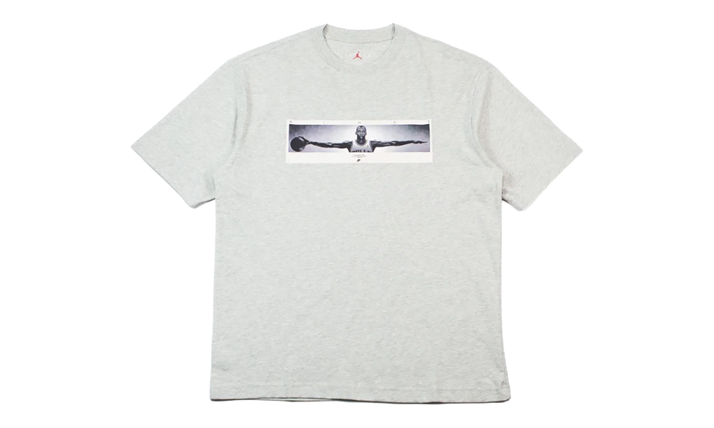 Wingspan Photo T-Shirt "Grey" IF5617 050