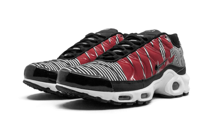 Air Max Plus TN SE "Striped" AT0040 001