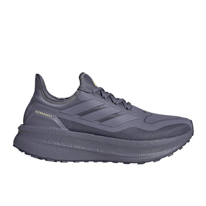 Ultraboost 5 Gore-Tex Running Shoes