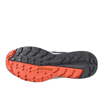 Terrex Free Hiker 2 Low GTX Hiking Shoes