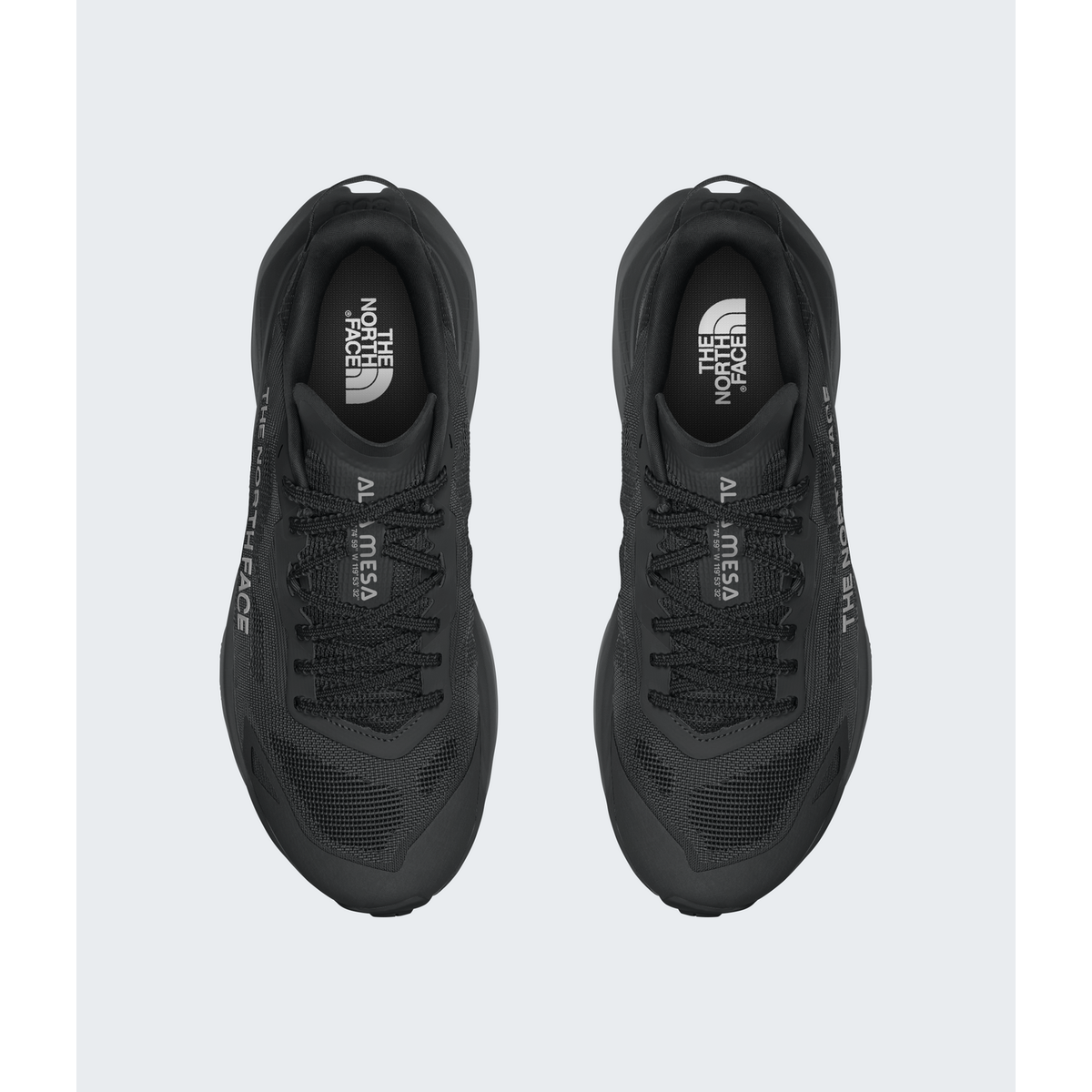 Women's Altamesa 300 V2 Shoes