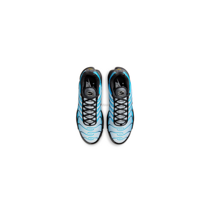 Air Max Plus TN 'Neptune / Blue Gradient' (2023)