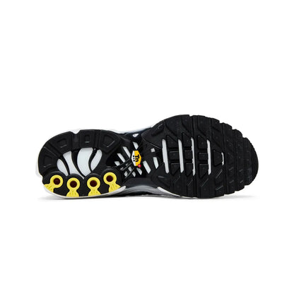 Air Max Plus TN 'Killer Whale' (2020)