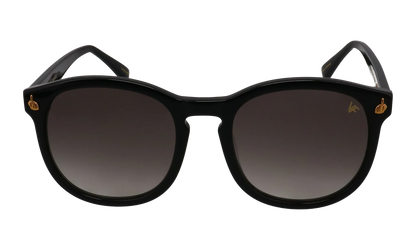 Revolution Acetate "Glossy Black / Gray" MPRE2 0002 18B5