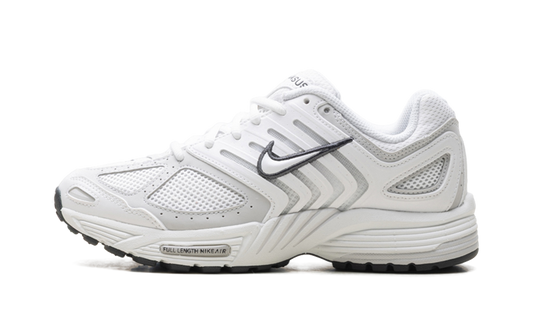 Air Pegasus 2005 WMNS"Summit White Photon Dust" HQ5718 103