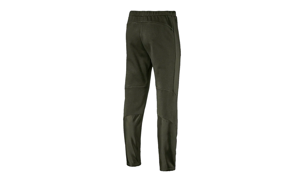 Evostripe WR Pants "Forest Night" 851727 15