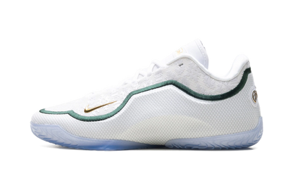 Lebron 23 "From This Point Forward" HJ5629 101