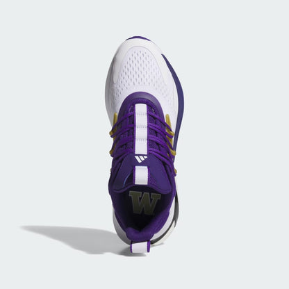 Men's Washington Alphaboost V2 Shoes