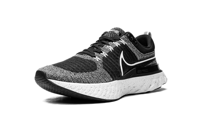 React Infinity Run Flyknit 2 CT2357 101