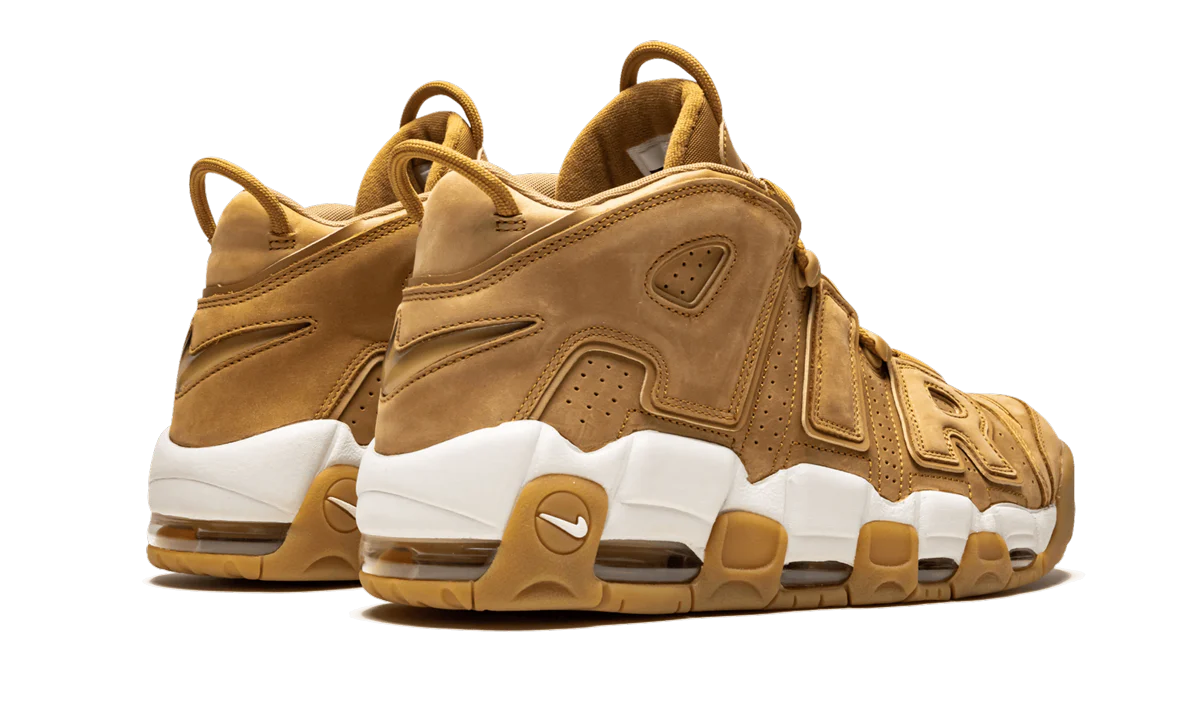 Air More Uptempo '96 PRM AA4060 200