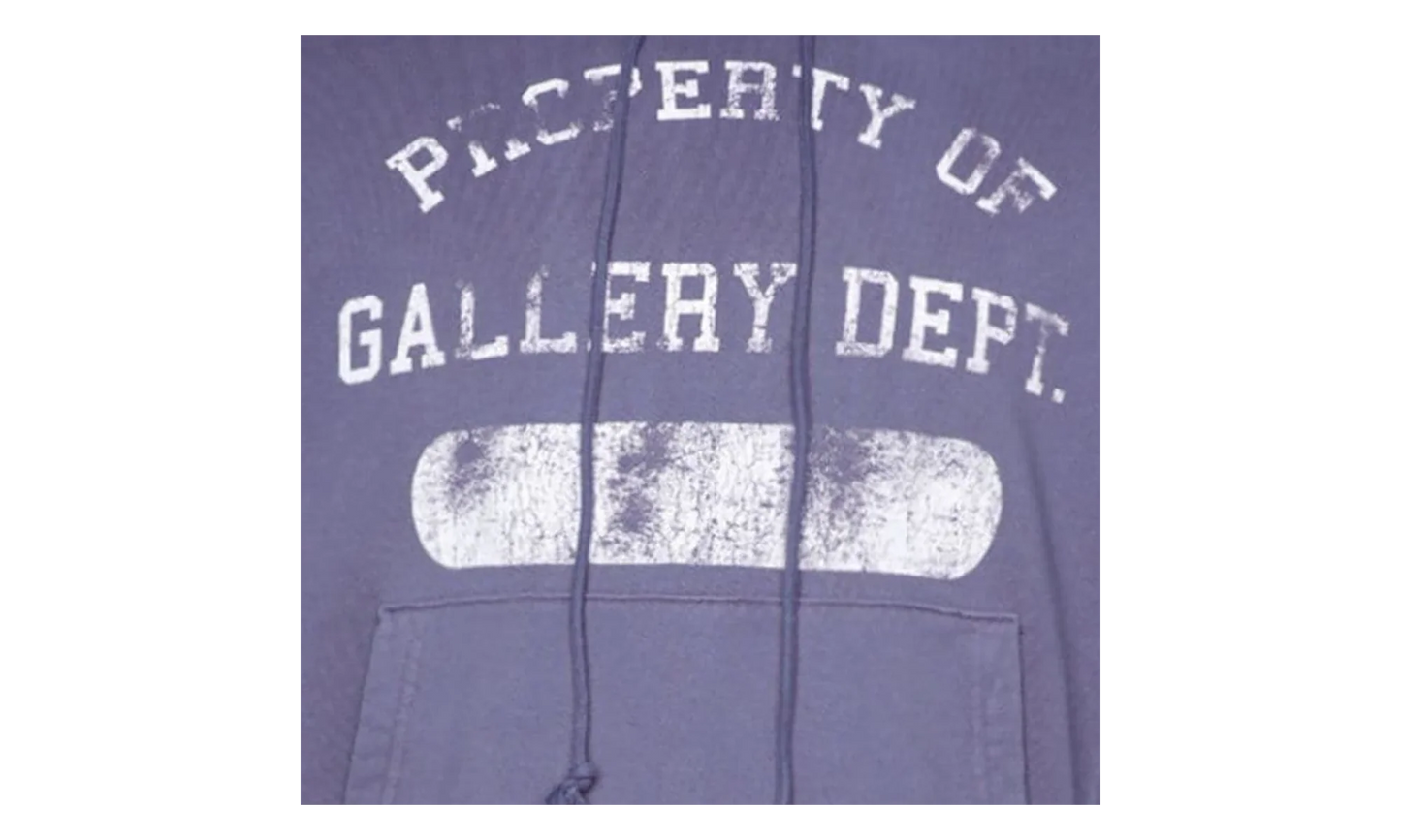 Property Print Cotton Hoodie "Purple" GD079