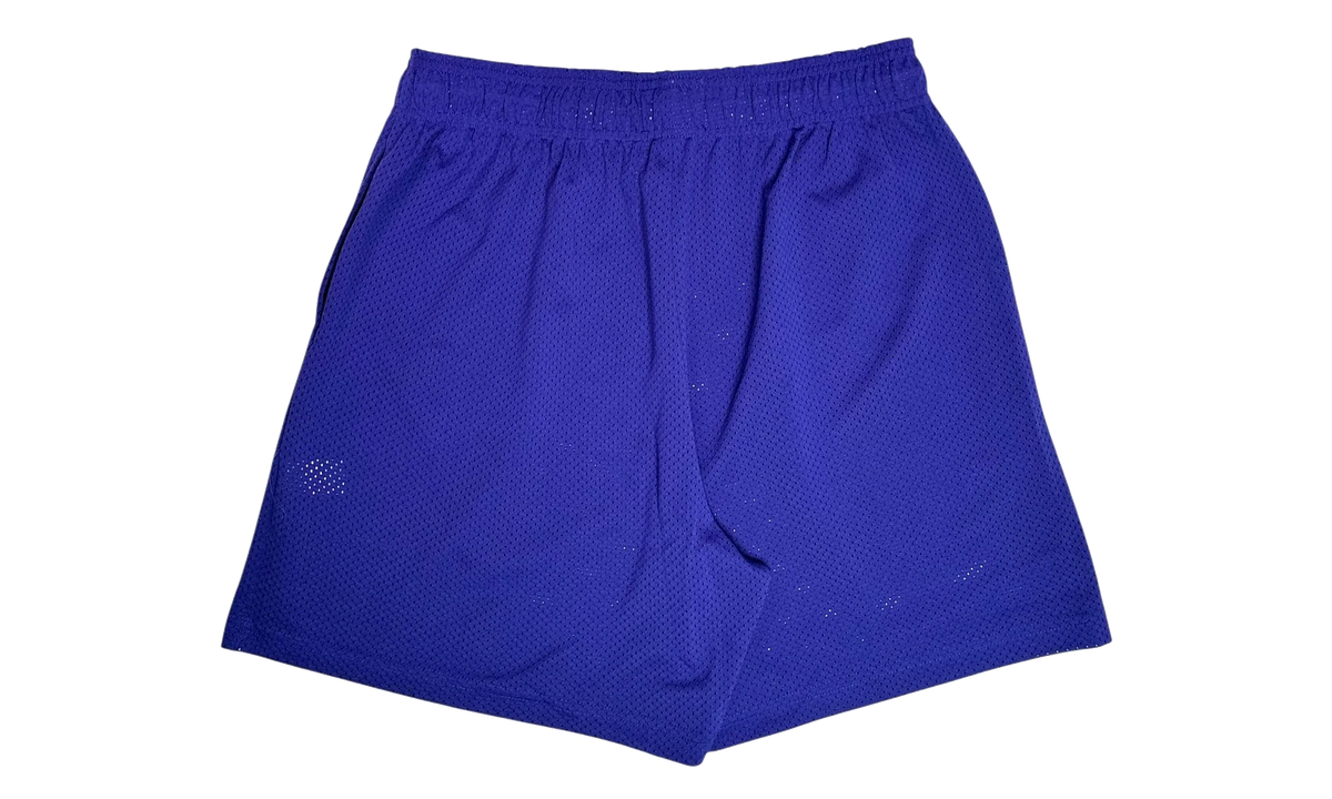 EE Basic Shorts "Purple / Yellow" EE338