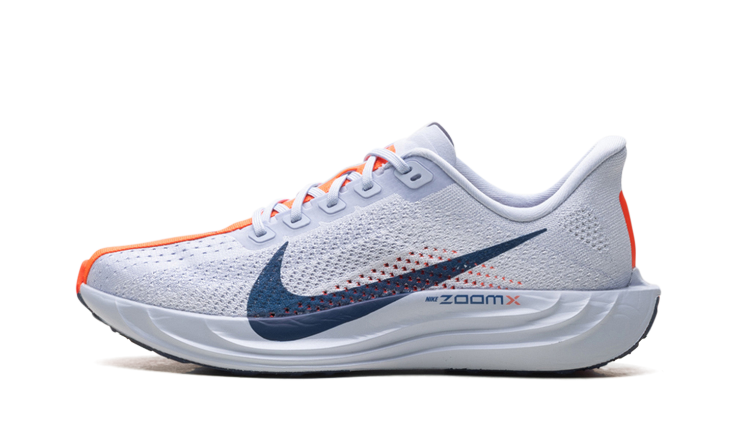 Pegasus Plus WMNS"Ghost/Blue Void/Bright Crimson/Blue Void" FQ7261 005