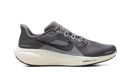Air Zoom Pegasus 41 "Medium Ash Pure Platinum" FD2722 215
