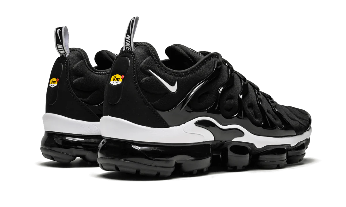 Air Vapormax Plus 924453 011