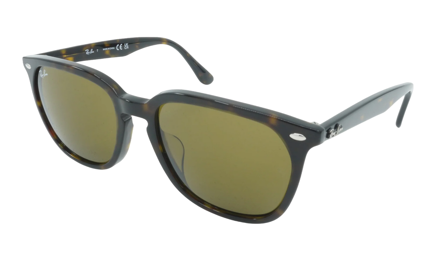 Square Sunglasses "HAVANA" RB4362F-902-73_55