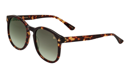 Revolution Acetate "Brown Tortoise / Gray Gradient" MPRE2 0007 40T5