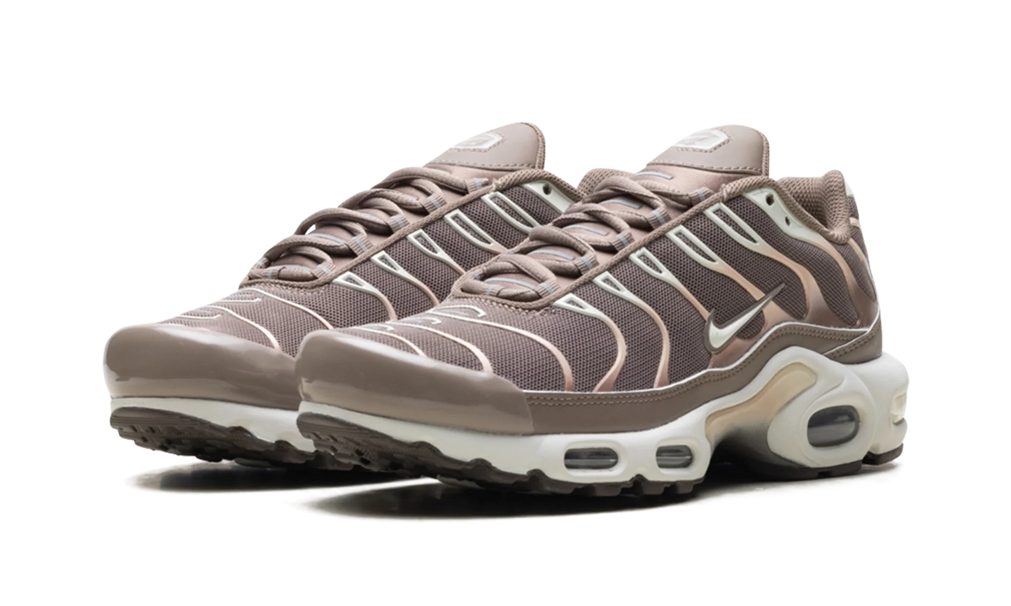 Air Max Plus "Mink Brown" DZ3671 200