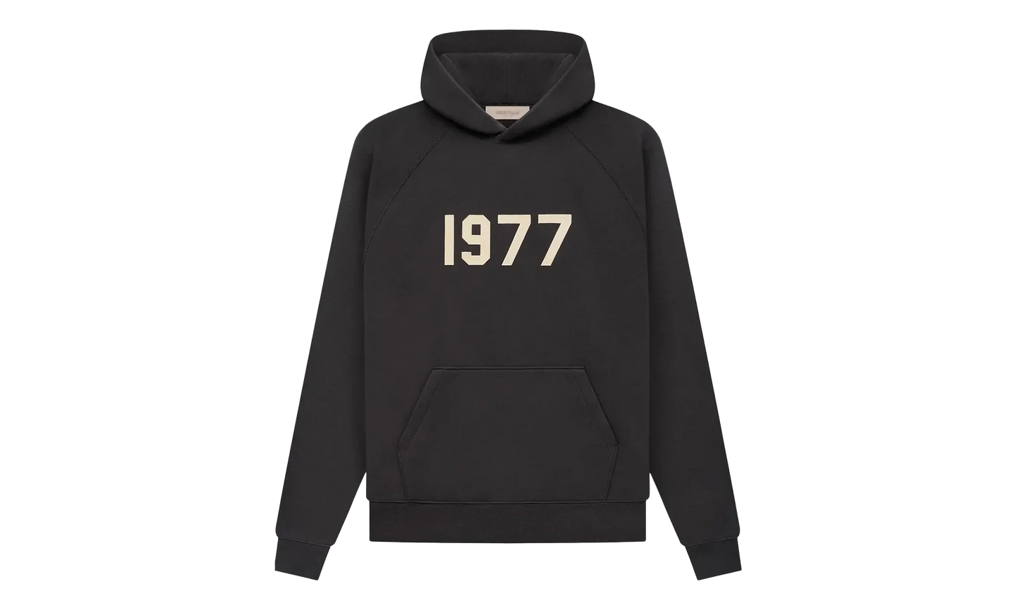 1977 Hooded Sweatshirt "Iron" 192BT212050F