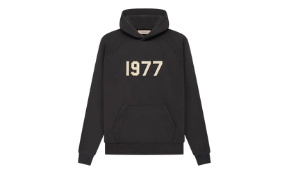 1977 Hooded Sweatshirt "Iron" 192BT212050F