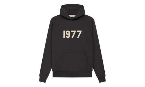 1977 Hooded Sweatshirt "Iron" 192BT212050F