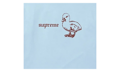 Duck T-Shirt "SS26 - Powder Blue" SU27272
