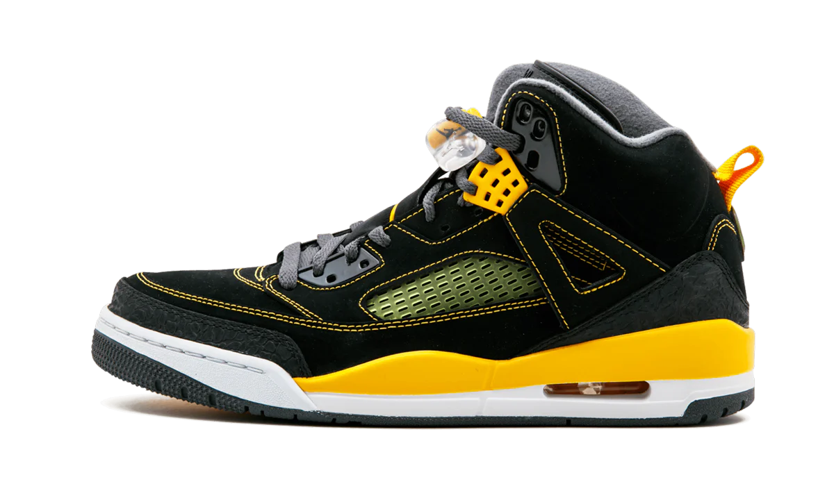 Jordan Spiz'ike 315371 030