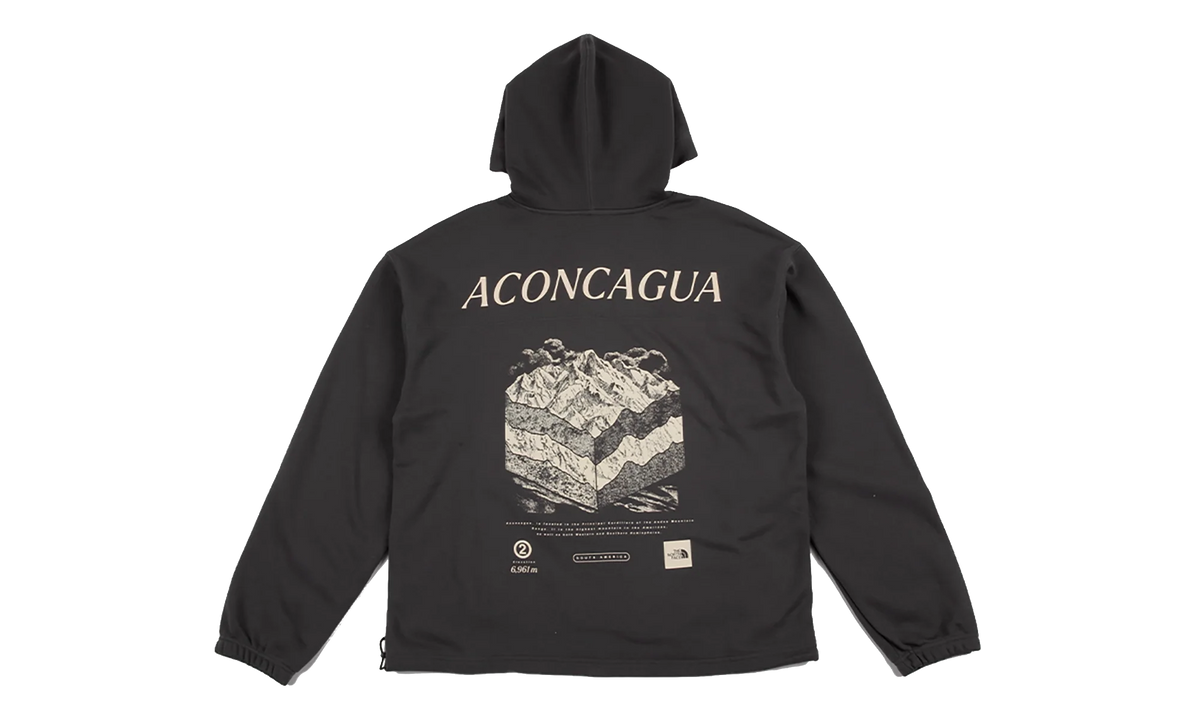 Places We Love Hoodie "Aconcagua Anthracite Grey" NF0A8JEM RHI