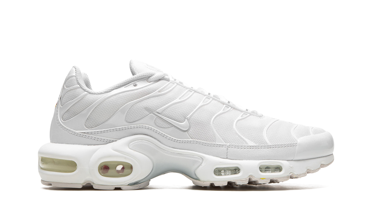 AIR MAX PLUS WMNS"Pure Platinum" DM2362 100