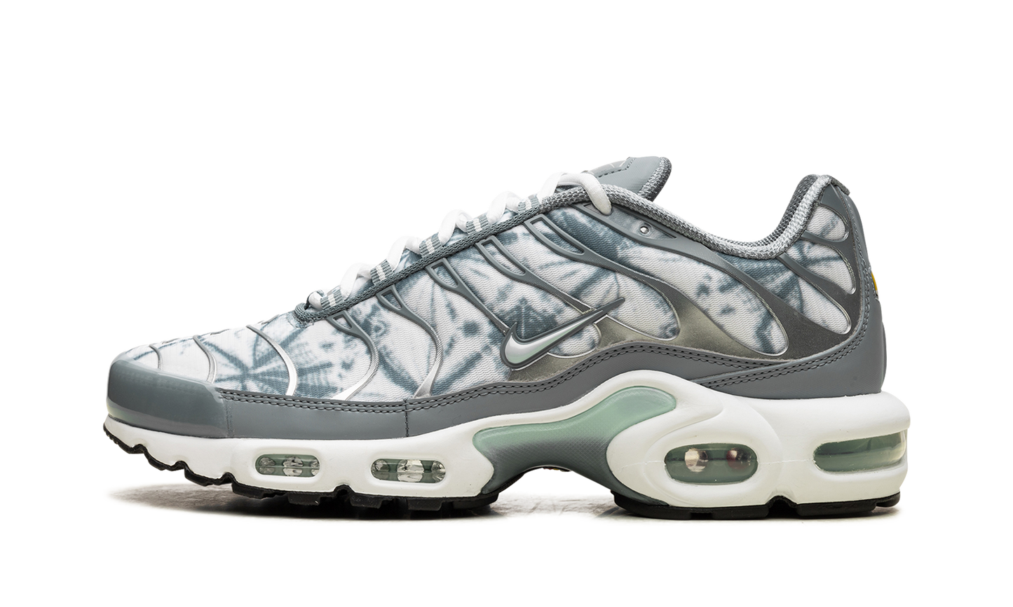 Air Max Plus "Waterway" FV0394 300