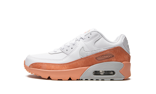 Air Max LTR 90 GS DM0956 100