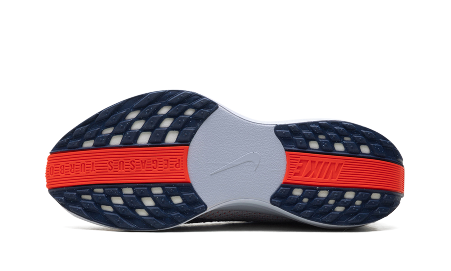 Pegasus Plus WMNS"Ghost/Blue Void/Bright Crimson/Blue Void" FQ7261 005