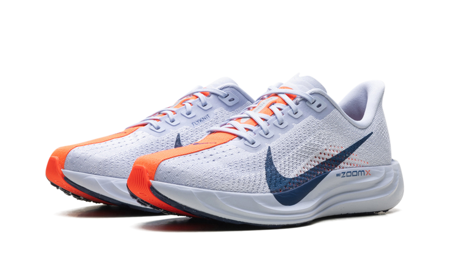 Pegasus Plus WMNS"Ghost/Blue Void/Bright Crimson/Blue Void" FQ7261 005