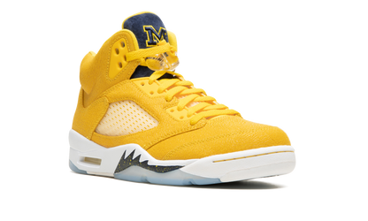 5 Retro PE "Michigan" DJ4954 997021