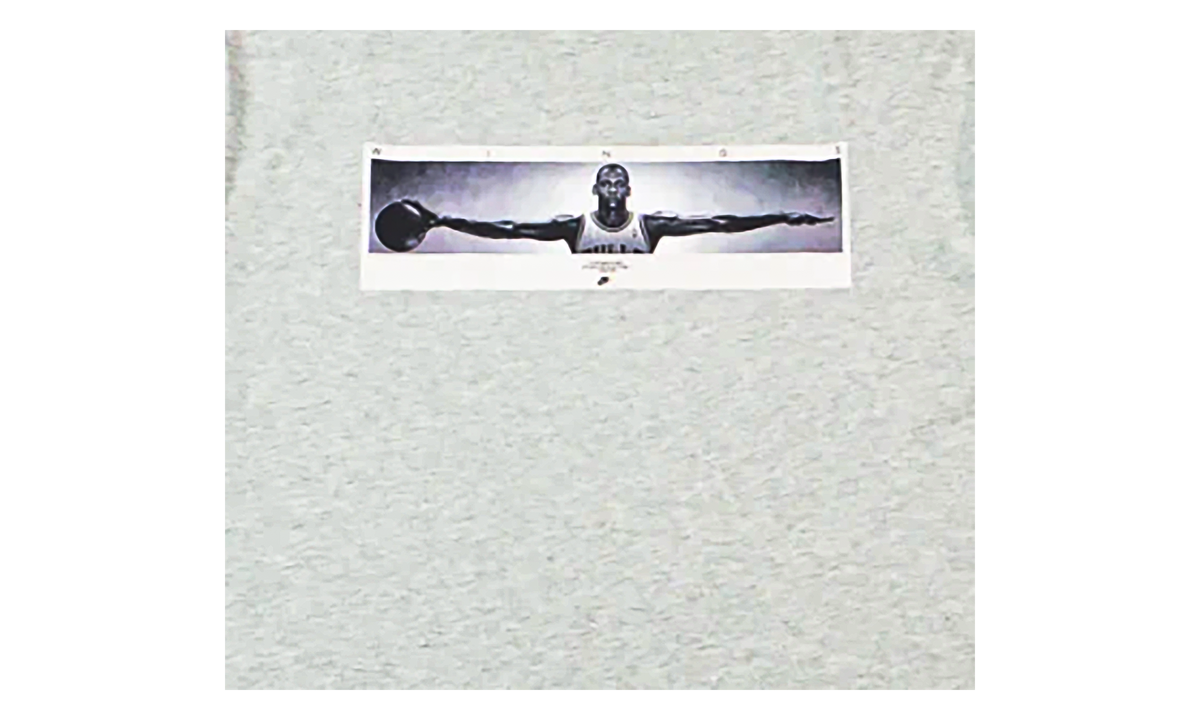 Wingspan Photo T-Shirt "Grey" IF5617 050