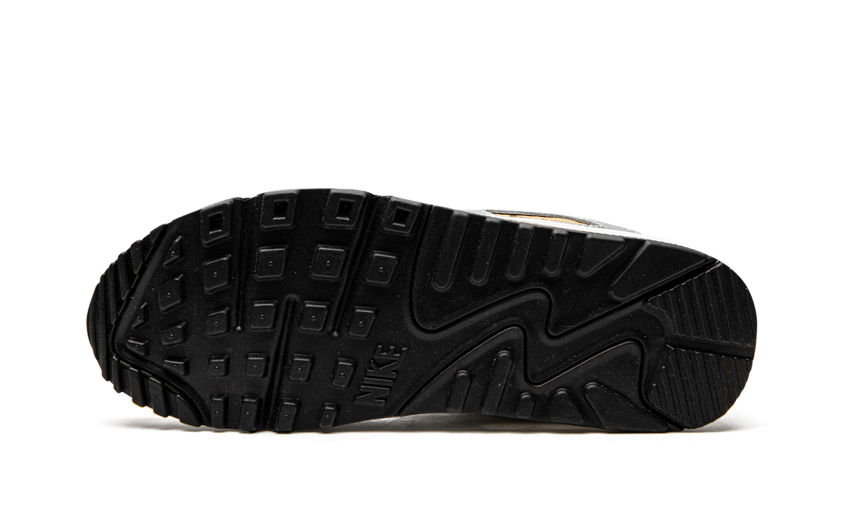 AIR MAX 90 SE MNS WMNS"Metallic" DJ6208 100
