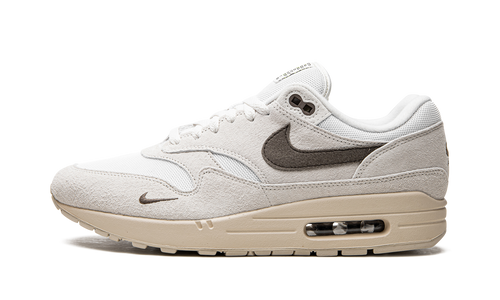 Air Max 1 "Sail Ironstone" DZ4494 100