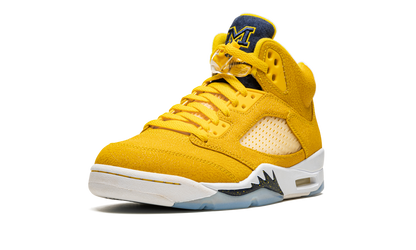 5 Retro PE "Michigan" DJ4954 997021