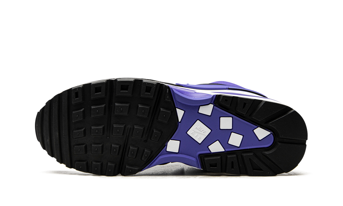 Air Max BW OG "Persian Violet (2021)"