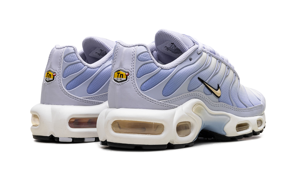 Air Max Plus WMNS"Daybreak" DZ3670 004