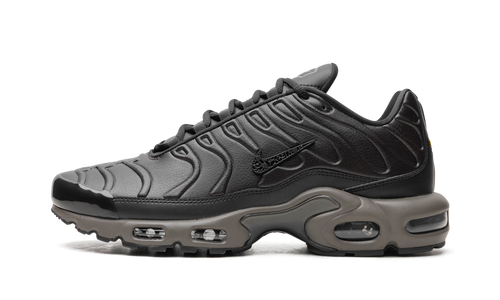 Air Max Plus "Black Tea / Petra Brown" "Black Tea / Petra Brown" HJ4519 200